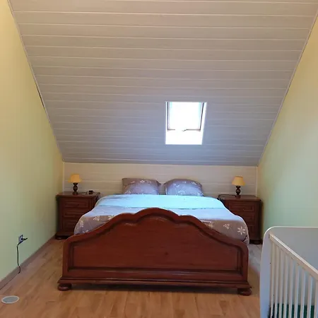 Maison De Avec Jardin-reve A Rixheim! Rixheim