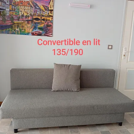 Maison De Avec Jardin-rêve à Rixheim! *